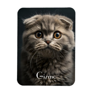 Cute Modern Refrigerator Cat Pet Photo Magnet