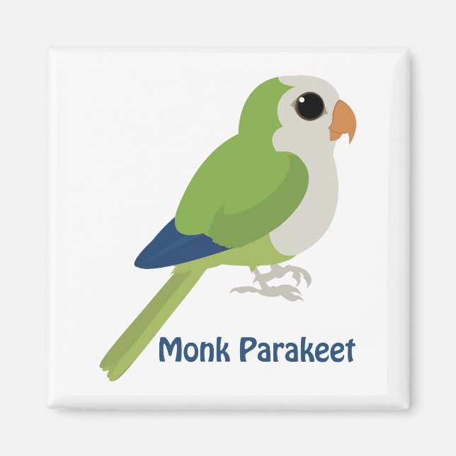 Cute Monk Parakeet Magnet (Front)