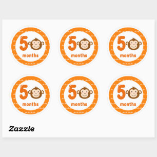 Cute Monkey Baby Monthly Milestone Classic Round Sticker