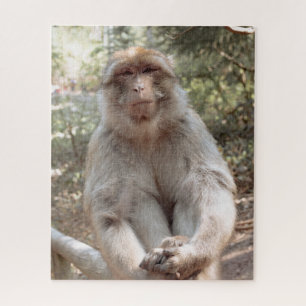 Cute monkey jigsaw puzzle