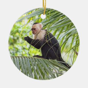 Cute Monkey on a Palm Tree Ceramic Tree Decoration