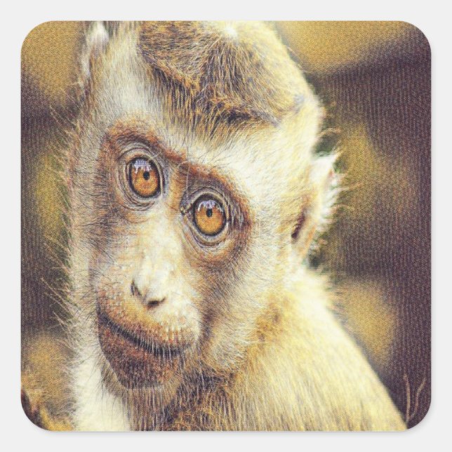 Cute monkey square sticker (Front)