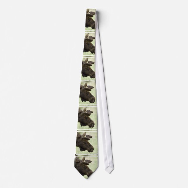 Cute Moose Tie (Front)