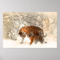 Cute Mother Tiger with Baby in Snow