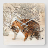 Cute Mother Tiger with Baby in Snow