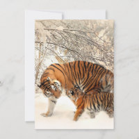 Cute Mother Tiger with Baby in Snow