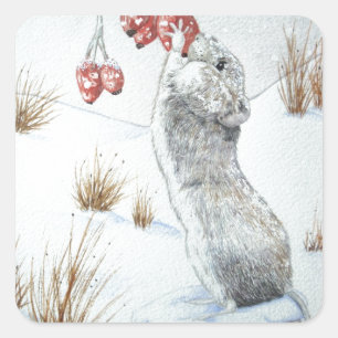 Cute mouse and red berries snow scene wildlife square sticker