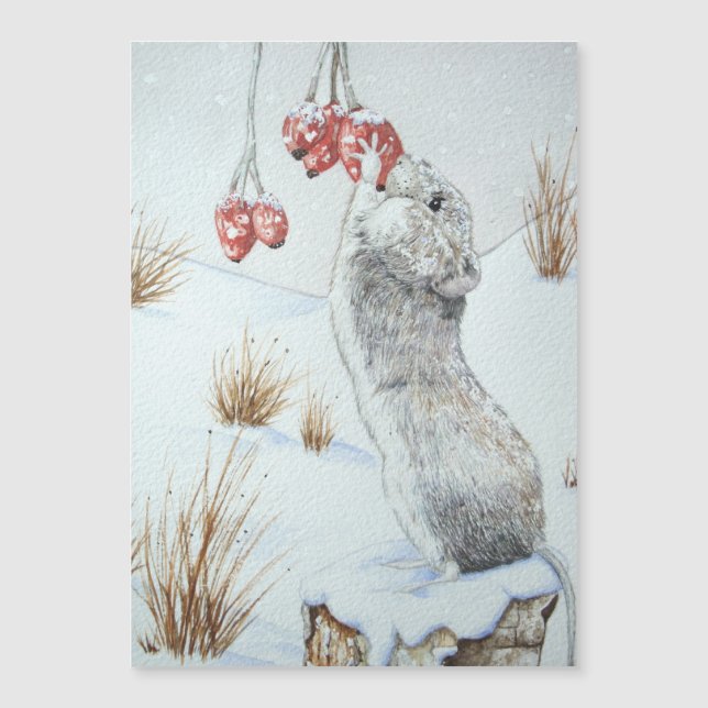Cute mouse eating red berries snow scene wildlife (Front)