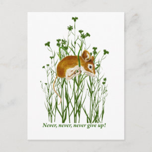 Cute Mouse Motivational Quote Never Give up Postcard