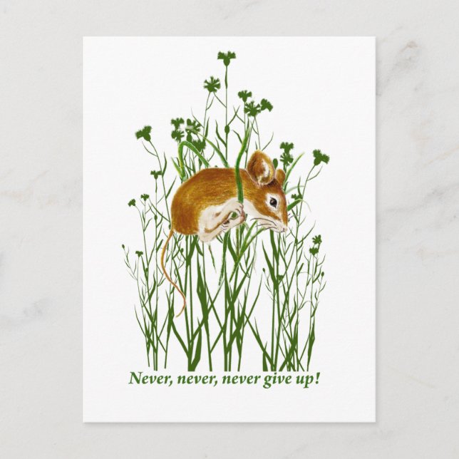 Cute Mouse Motivational Quote Never Give up Postcard (Front)