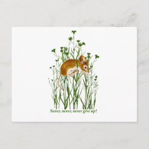 Cute Mouse Motivational Quote Never Give up Postcard