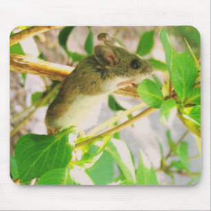 Cute Mouse Mouse Pad