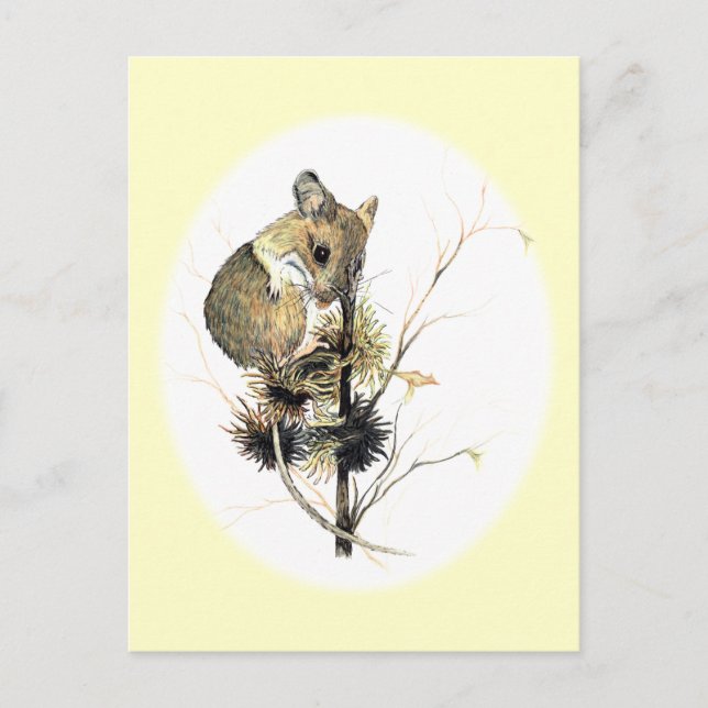 Cute Mouse Postcard (Front)