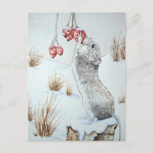 Cute mouse snowscene wildlife at christmas postcard (Front)