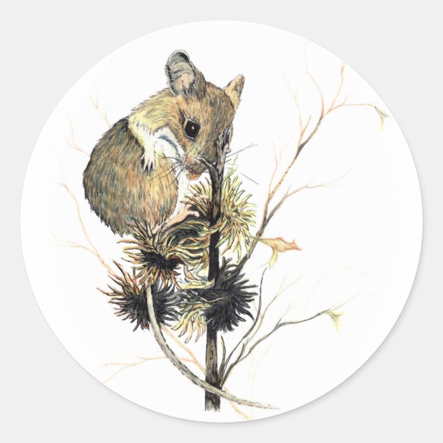 Cute Mouse Sticker (Front)
