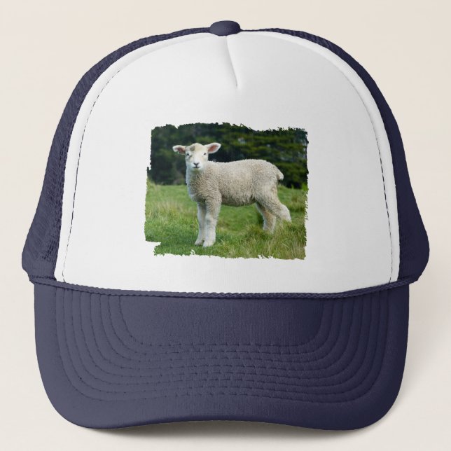 Cute Muddy Baby Sheep Lamb in a Meadow Trucker Hat (Front)