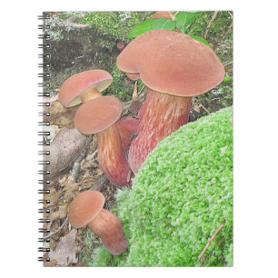 Cute Mushroom Family Notebook