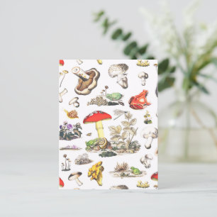 Cute Mushroom Frog Snail Forest Pattern Postcard
