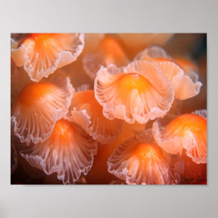 Cute Mushrooms Dressed In Their Sunday Best Wall Poster