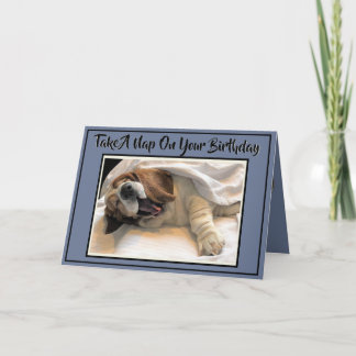Cute Napping Basset On Funny Birthday Card