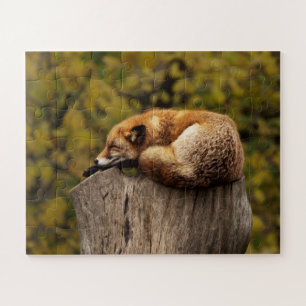 Cute Napping Fox Wildlife Jigsaw Puzzle