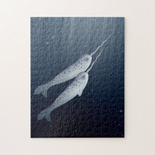 Cute Narwhals Swimming Together Underwater Jigsaw Puzzle