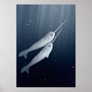 Cute Narwhals Swimming Together Underwater Poster