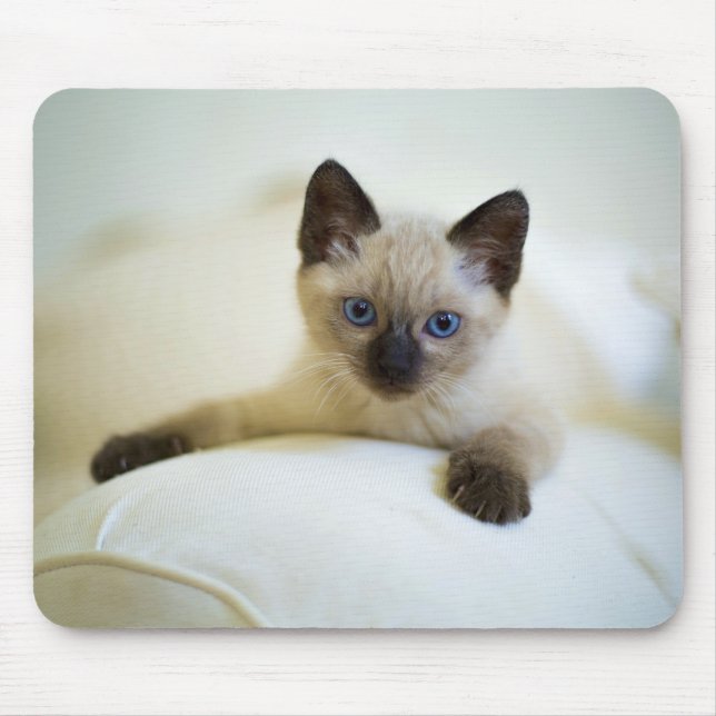 cute, nature, cat mouse pad (Front)