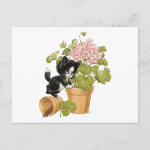 Cute Naughty Cat - Kitten In A Flowerpot Postcard