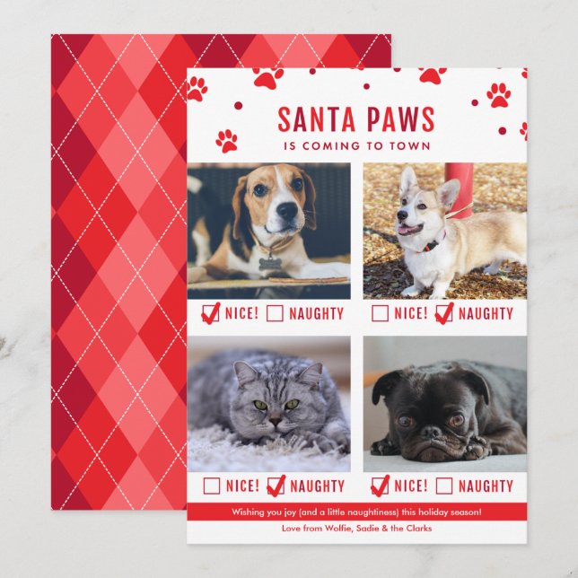 Cute Naughty or Nice Four Pet Christmas Photo Holiday Card (Front/Back)