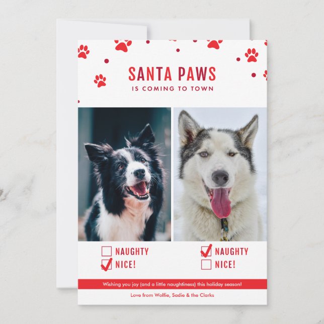Cute Naughty or Nice Two Dog Christmas Photo Holiday Card (Front)