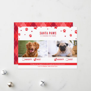 Cute Naughty or Nice Two Dog Christmas Photo Holiday Card