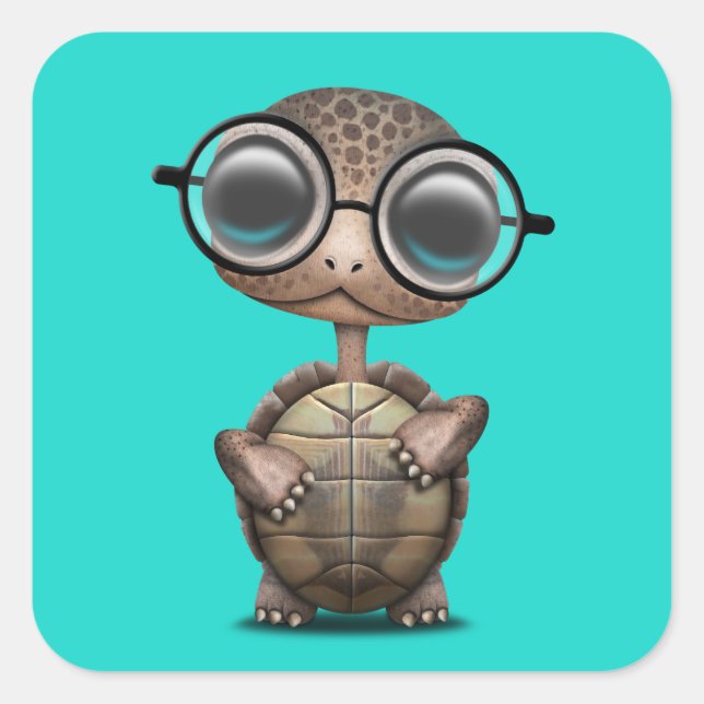 Cute Nerdy Turtle Wearing Glasses Square Sticker (Front)