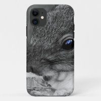 Cute New York City Squirrel
