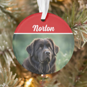 Cute Newfoundland Dog Holiday Christmas Photo Ornament