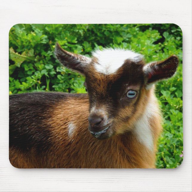 Cute Nigerian Dwarf Dairy Goat Kid Mouse Pad (Front)