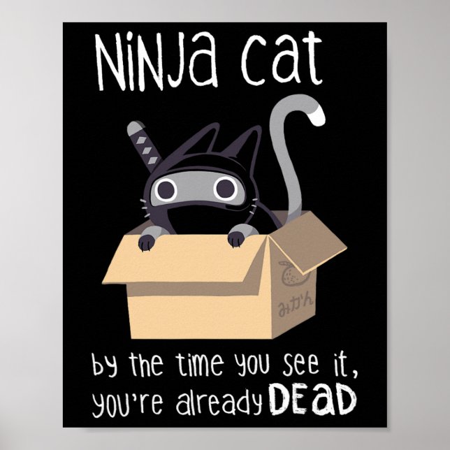 Cute Ninja Cat  Poster (Front)
