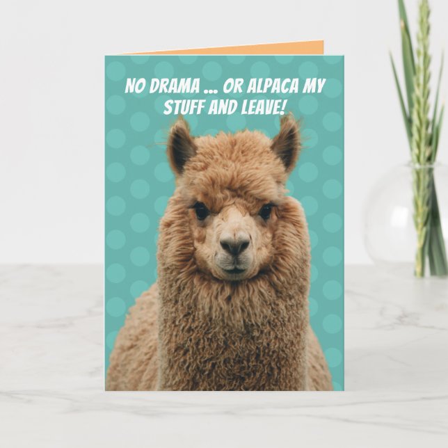 Cute No Drama Llama Or Alpaca My Stuff Birthday Card (Front)