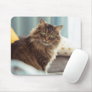 Cute Norwegian Cat Mouse Pad