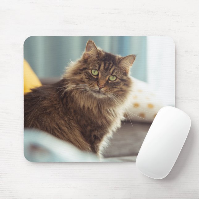 Cute Norwegian Cat Mouse Pad (With Mouse)