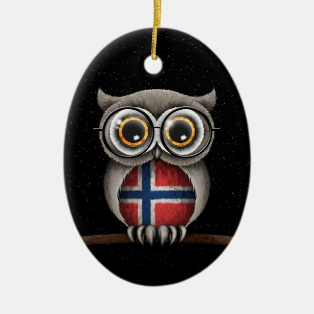 Cute Norwegian Flag Owl Wearing Glasses Ceramic Ornament (Front)