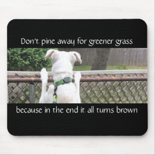 Cute Nosey White Dog Looking at Other Yard Black Mouse Pad