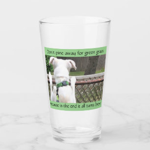 Cute Nosey White Dog Looking at Other Yard's Grass Glass