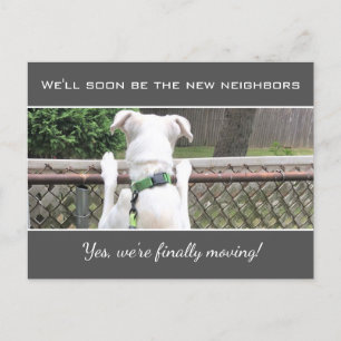Cute Nosey White Puppy Dog Spying On Neighbours An Announcement Postcard