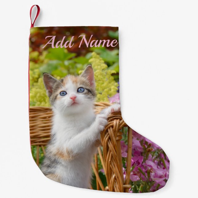 Cute Nosy Baby Cat Kitten in a Flowering Garden Small Christmas Stocking (Front)