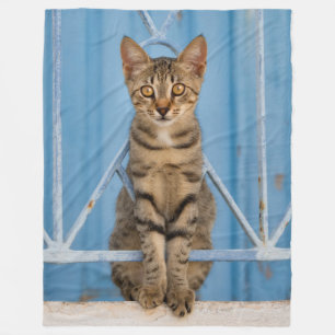 Cute Nosy Tabby Cat Kitten Sitting in a Blue Fence Fleece Blanket