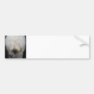 Cute Old English Sheepdog Bumper Sticker