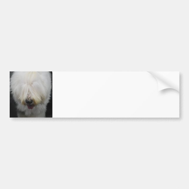 Cute Old English Sheepdog Bumper Sticker (Front)