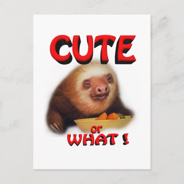 cute or what postcard (Front)