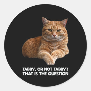 Cute Orange Cat  Classic Round Sticker